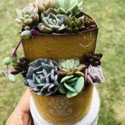 uki✴︎ukiの画像