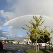 YellowRose@プロフ必読