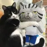 クー助