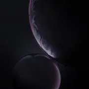野仲