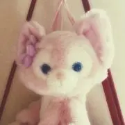 bell★即購入OK喫煙ペットなしの画像