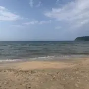 ありんこの画像