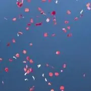 SS★