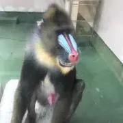 お買い得の画像