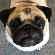まる