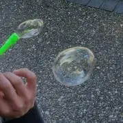 たんぽぽ