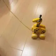 かわわの画像
