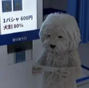 いぬの画像