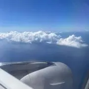 さっさの画像