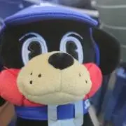 たまご  引越しのため、お値下げします。