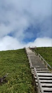 ぽんの画像