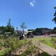 カナエの画像