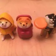 やっさんの画像