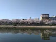 fumaの画像