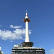 ゆゆ