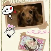 キャリ(*˙˘˙*)ஐ