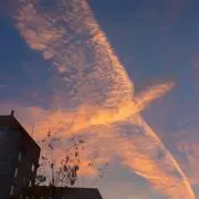 たーの画像