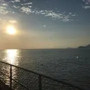 ashの画像