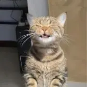 デラックスマツコの画像