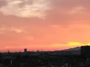 ぷにぷに1923たの画像