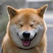 Chiro_dsの画像