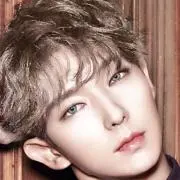 jungi