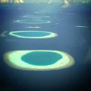 Atoll*の画像