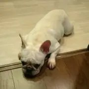 ちーさん
