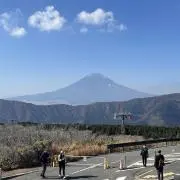 春の画像