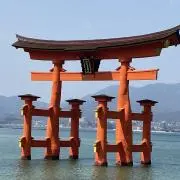 中ちゃんの画像