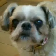 EN