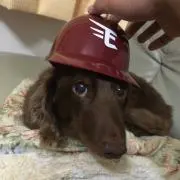 じゅん