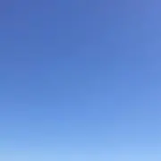 ナッツダミア