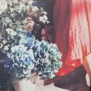 Maの画像
