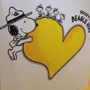 みーの画像