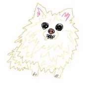 kmrmの画像