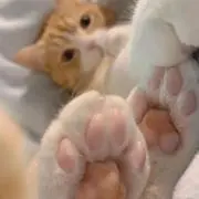 your_honeyの画像