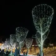 Ａの画像