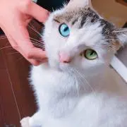 はる
