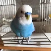 春風