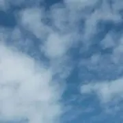 かちんの画像