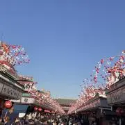 ショーの画像