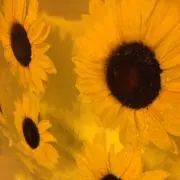 ベージュ エンボスロゴ ショルダーバッグ ハンドバッグ 結婚式 xoxo 