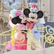 Mの画像