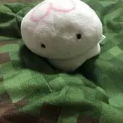 ゆみ
