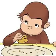 ジョージの画像