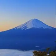 tomoの画像