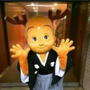 こいちゃんの画像