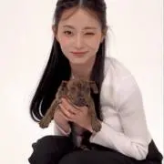 tの画像