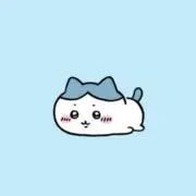 みかんの画像